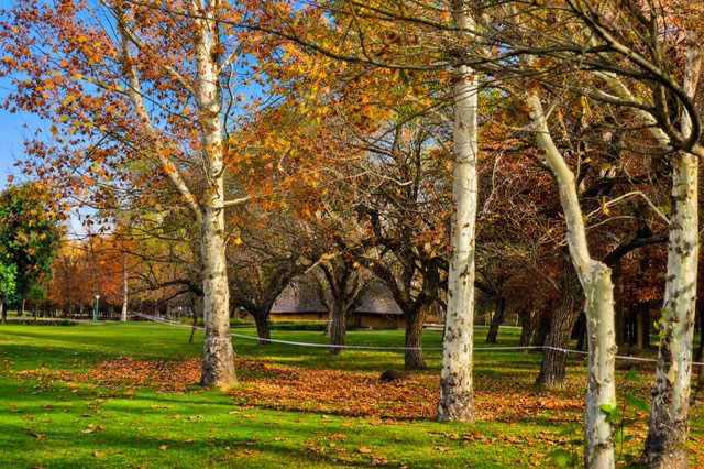 Autumn Looks Good on NWU