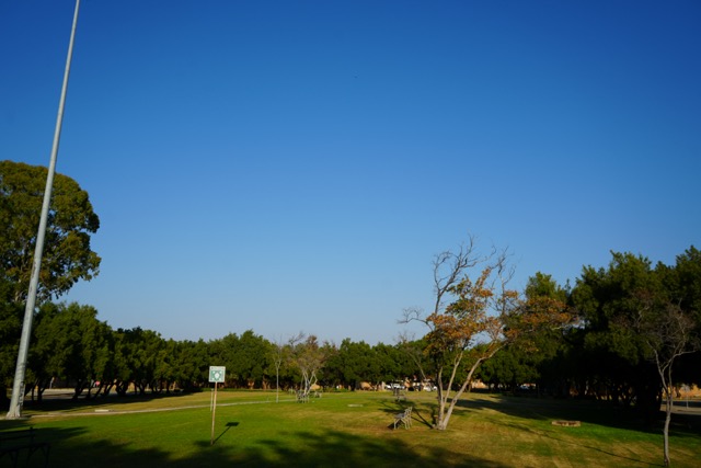 Mahikeng Lawn