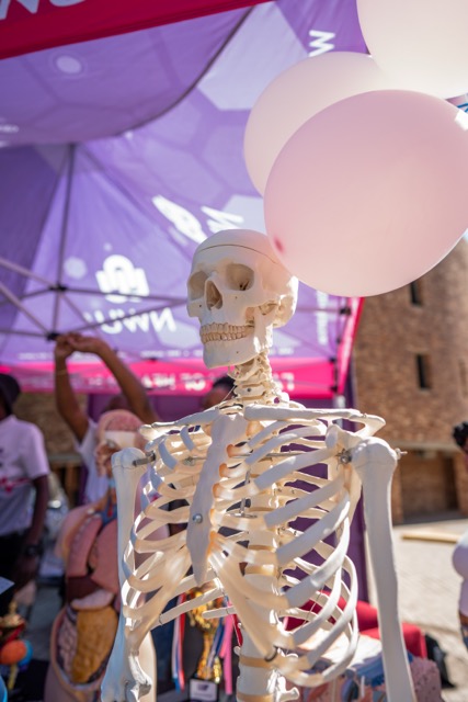 Skeleton