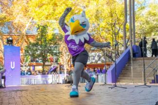 NWU Mascot, Eagi